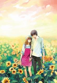 Chàng Trai Trong Hoa Hướng Dương đọc online