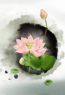 Không Có Lai Sinh đọc online